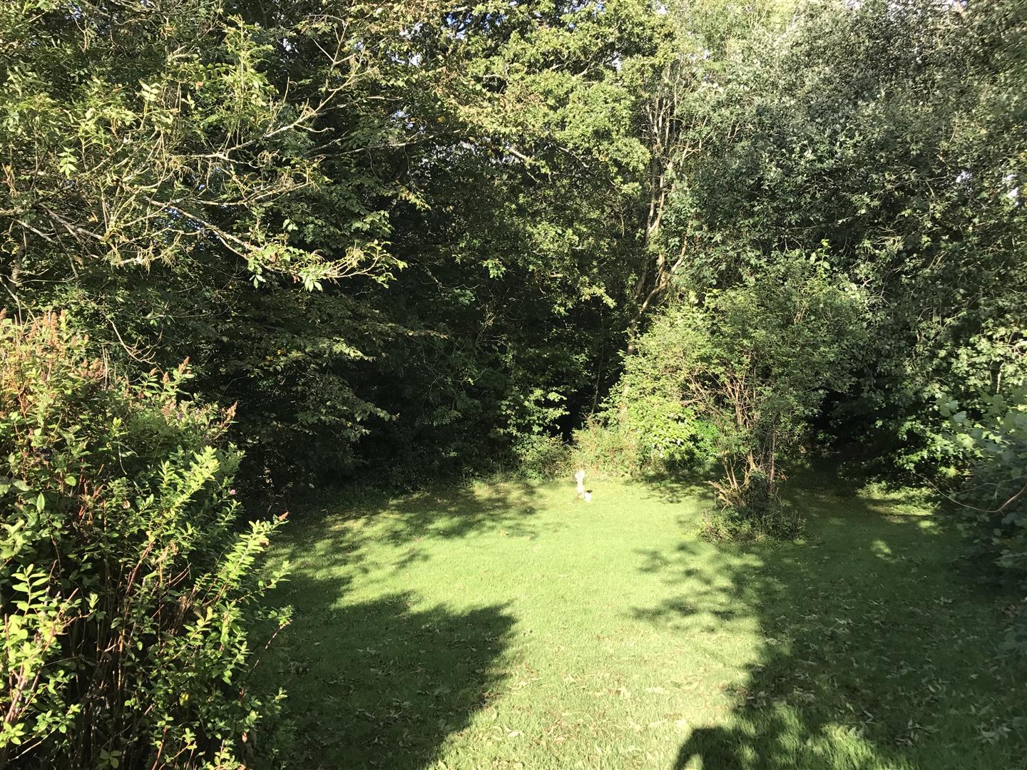 WOODLAND